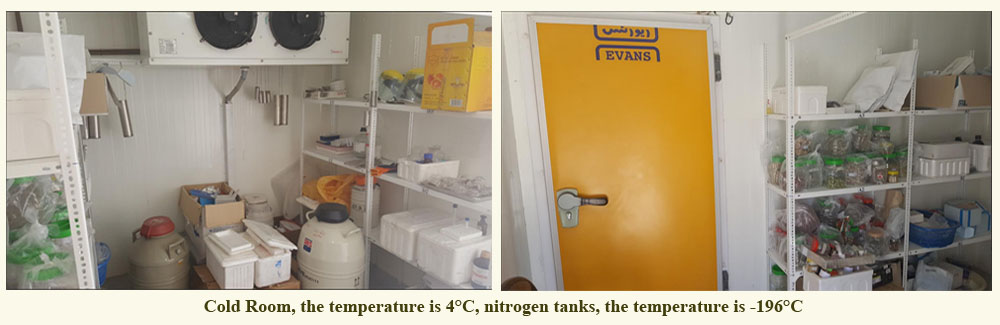 cold room department 