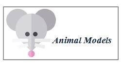 animal models