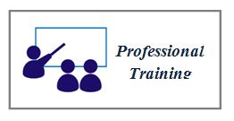 professional training