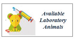 laboratory animals