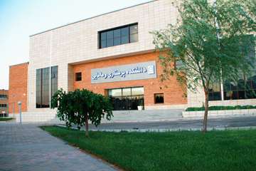 School of Nursing & Midwifery